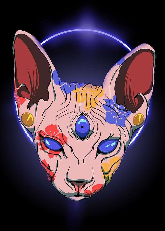 Three Eyed Sphynx Cat