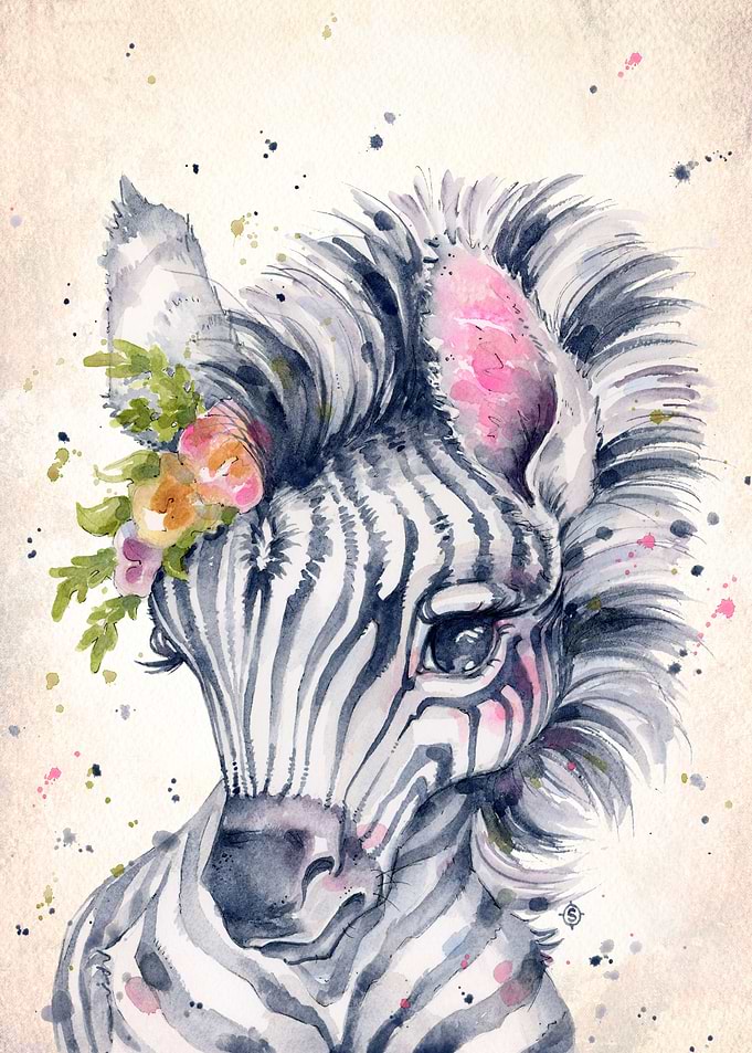 Little Zebra