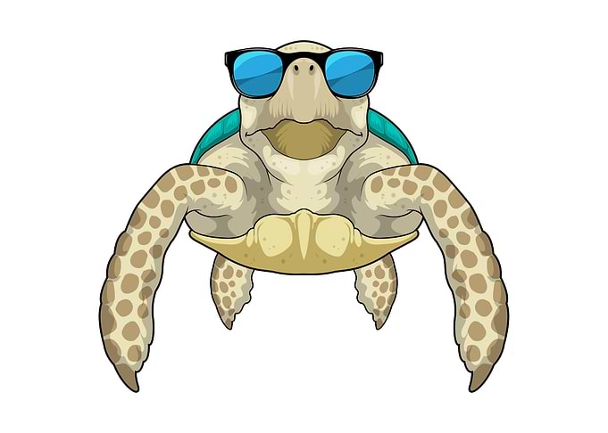 Turtle Sunglasses