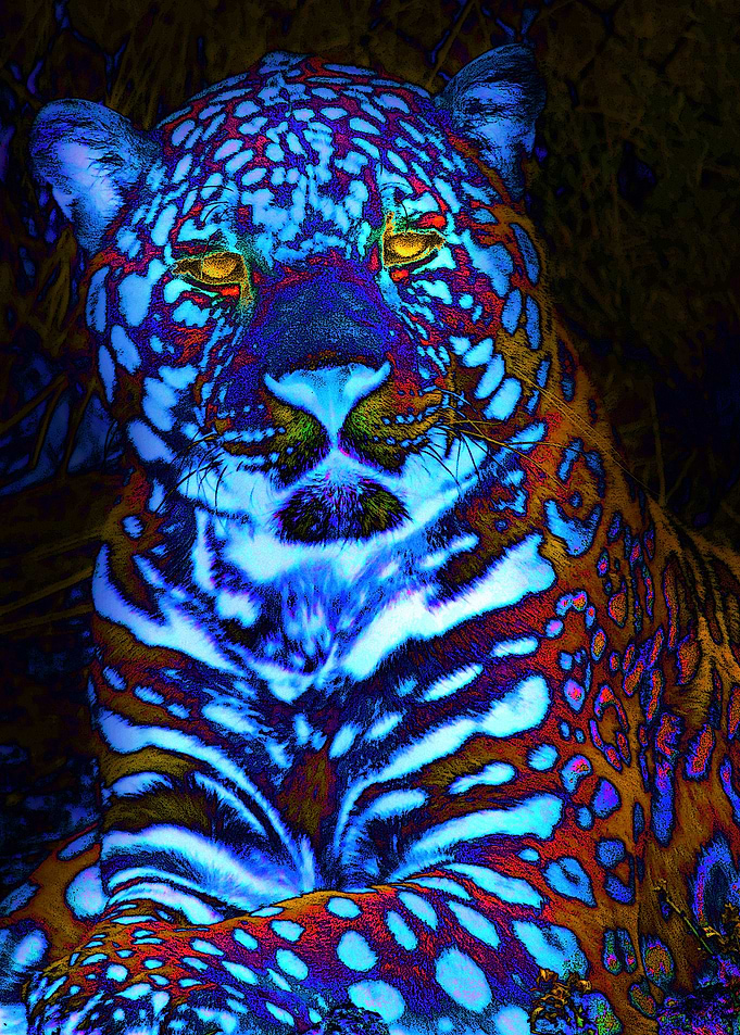 Leopard Remix