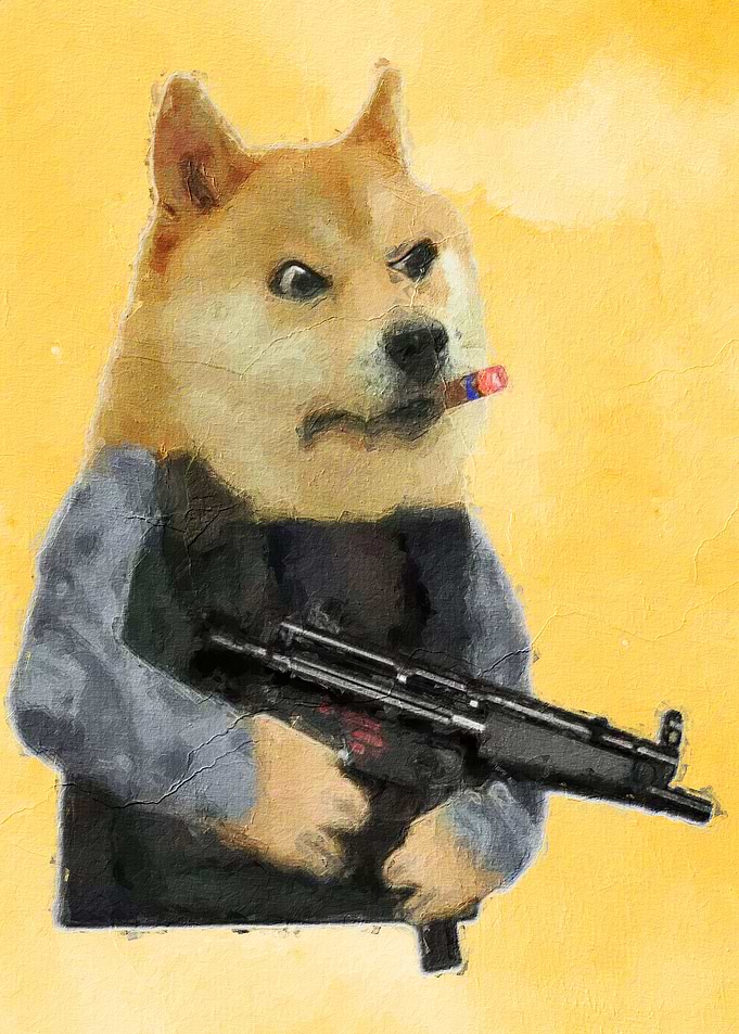Doge Meme
