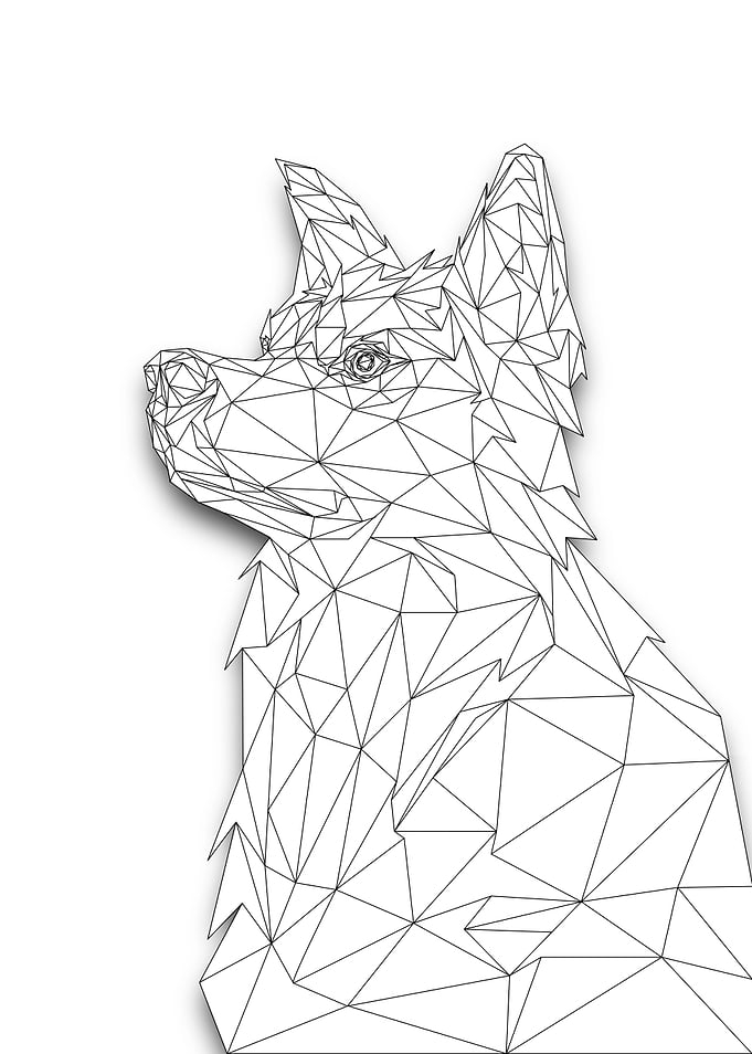 Siberian Husky Lowpoly