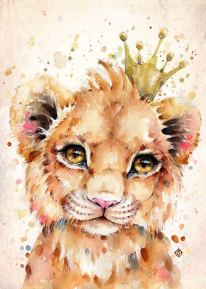 Little Lion
