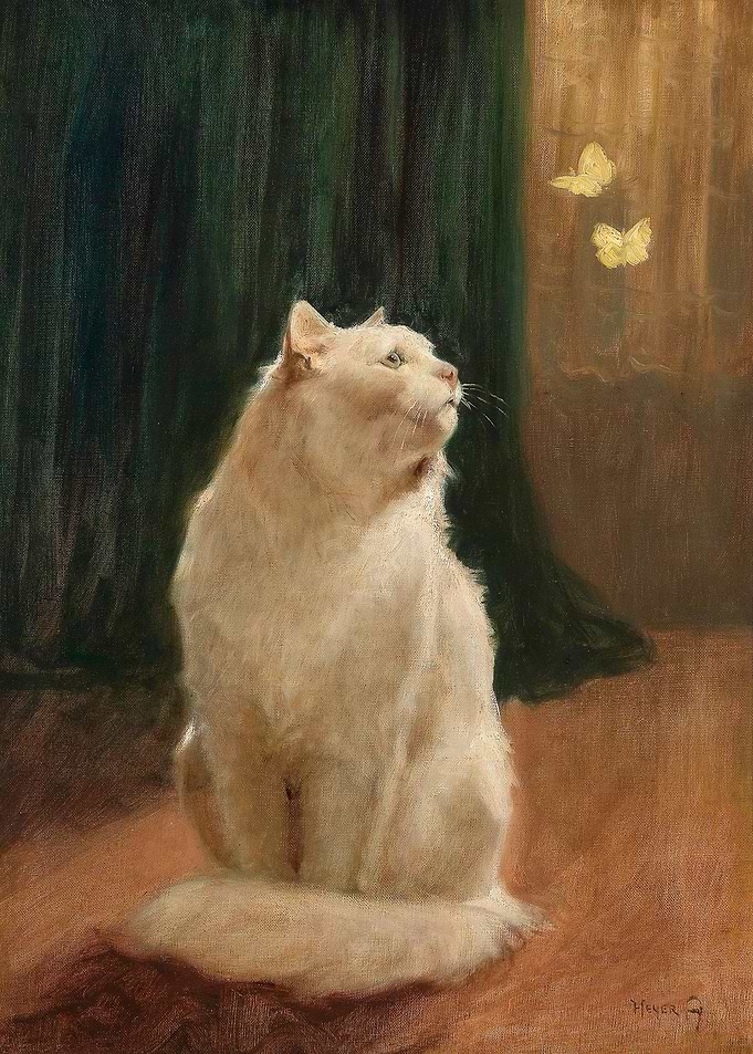 White Cat
