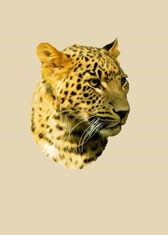 Leopard portrait