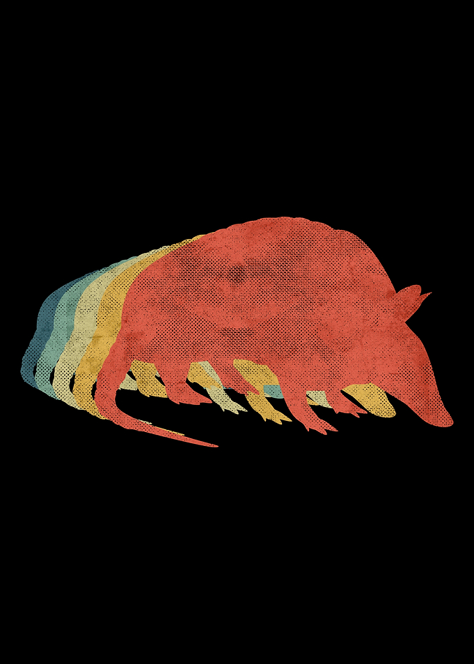 Rat Retro Vintage Color