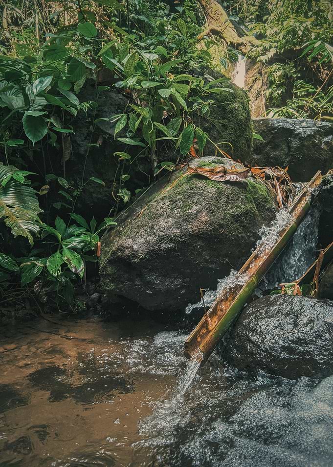 Nature