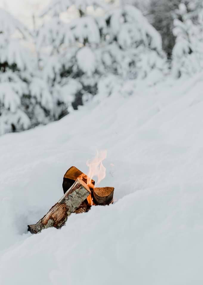 Log Fire Warmth