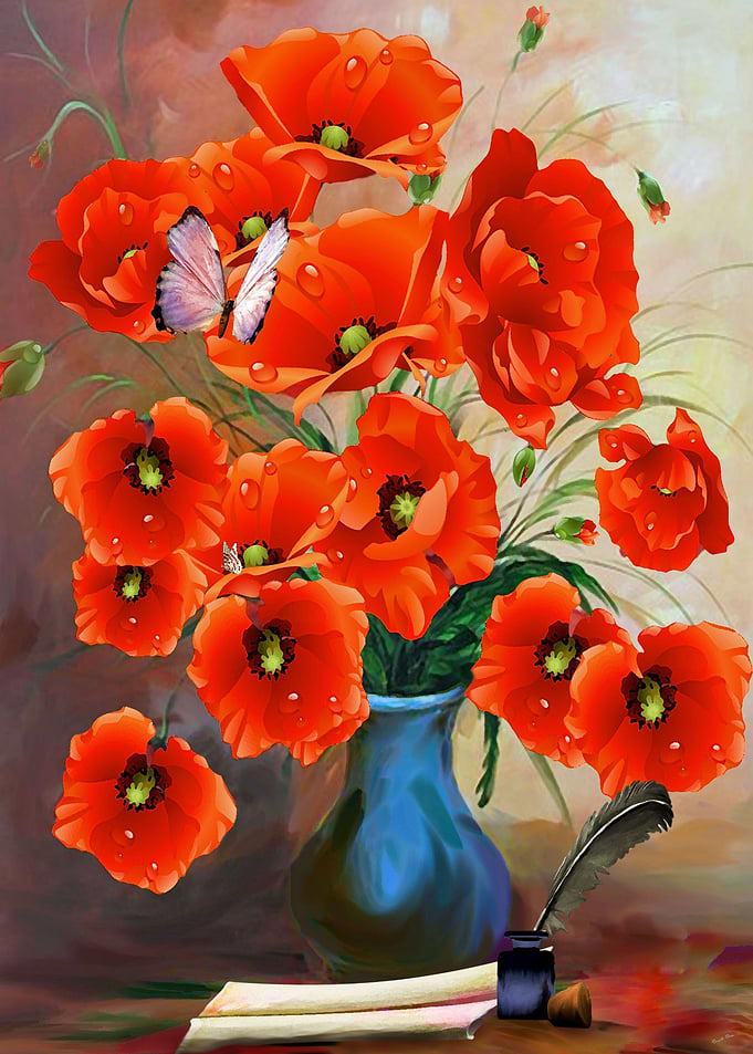 Klatschmohn Poppy