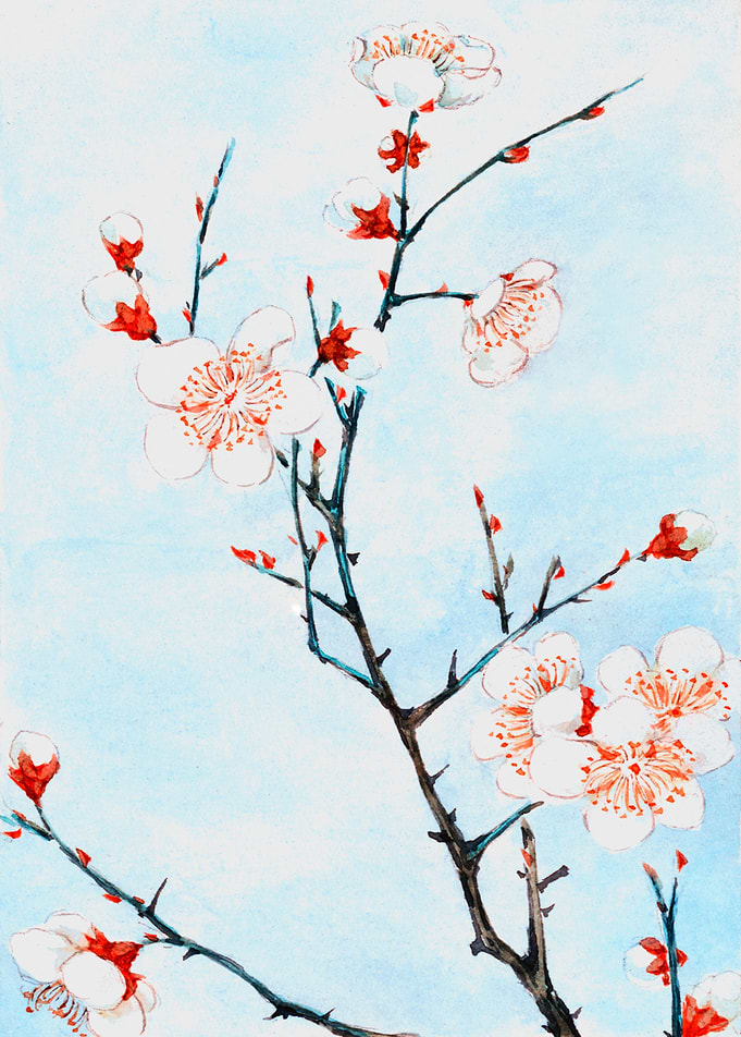Plum branches