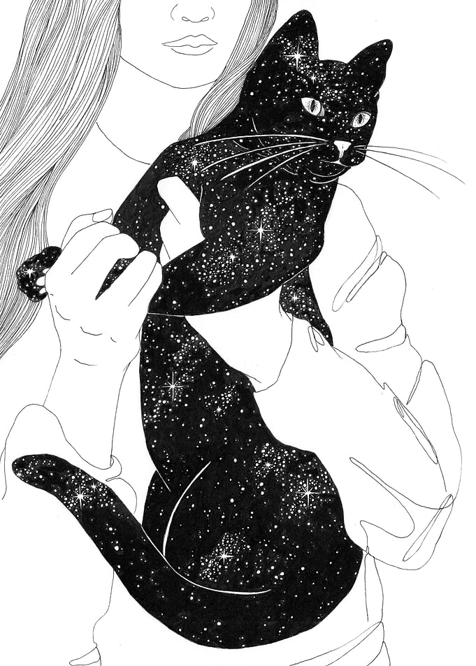 The Universe in a Cat