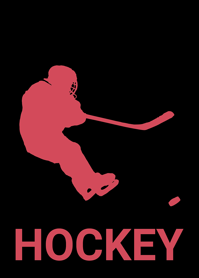 HOCKEY PASS