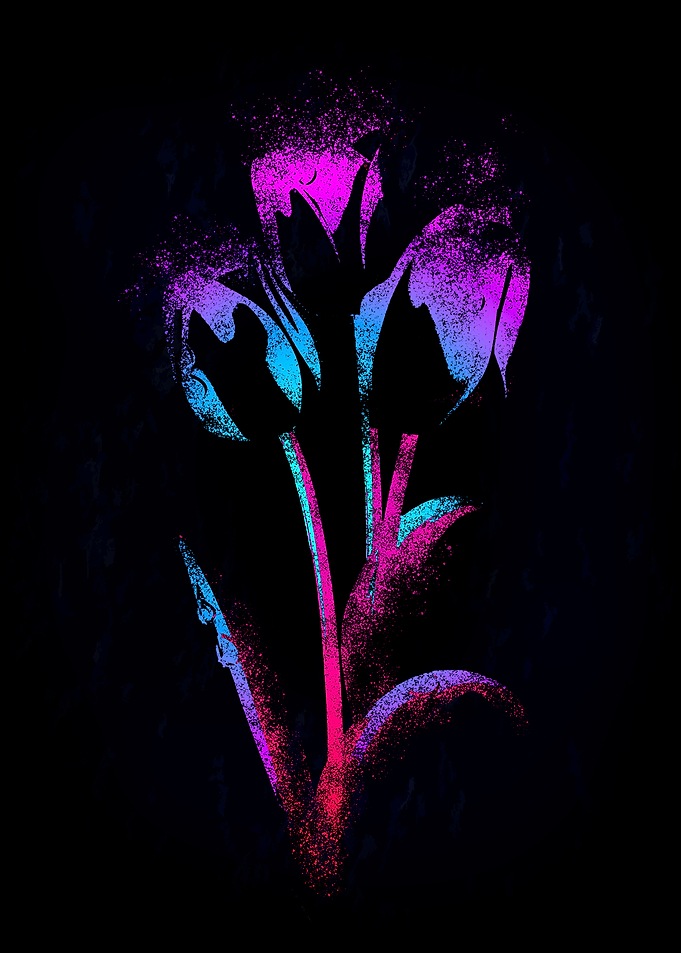 Tulip Aesthetic