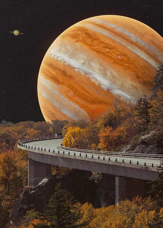 FOREST ROAD 2023