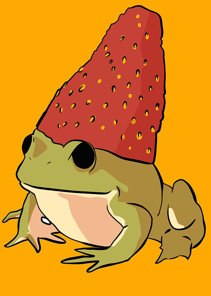 frog strawberry hat