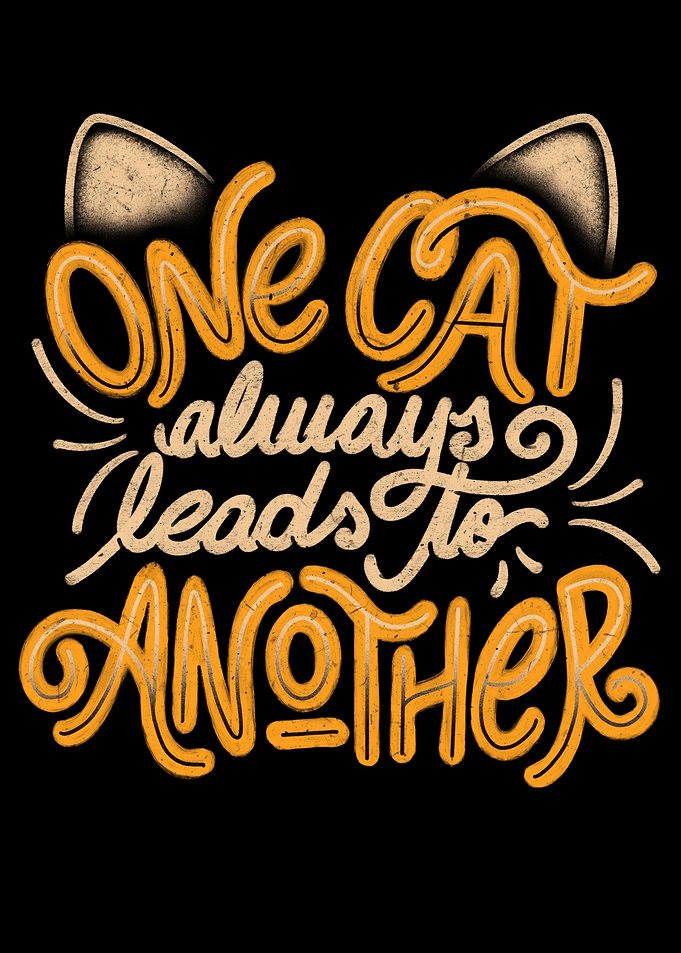 One Cat