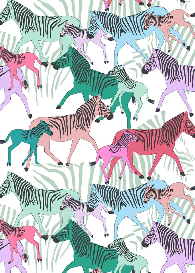 Quagga Family Colourful