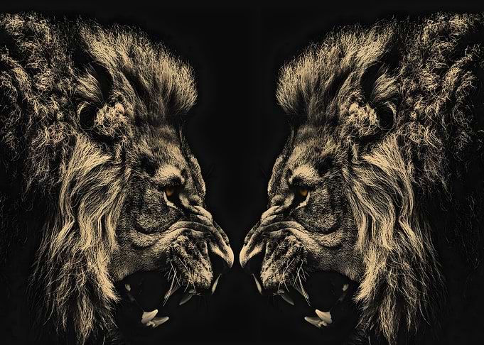 lion king