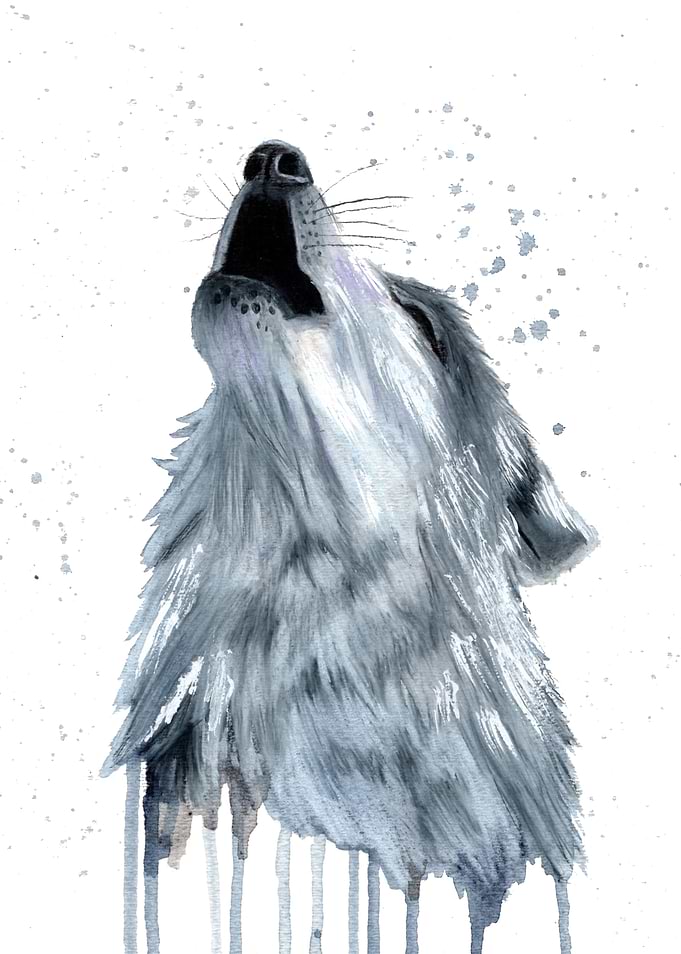 Howling grey wolf artwork