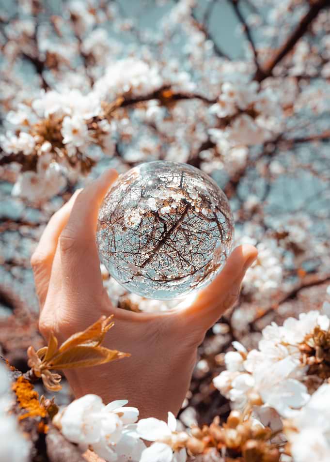 Lensball Cherry blossoms