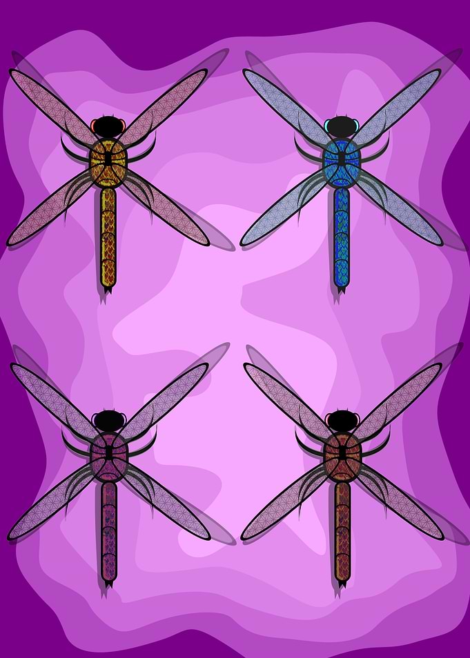 the exotic dragonflies