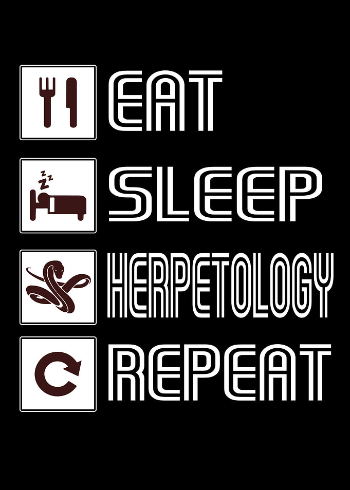 Herpetology Gift Snakes
