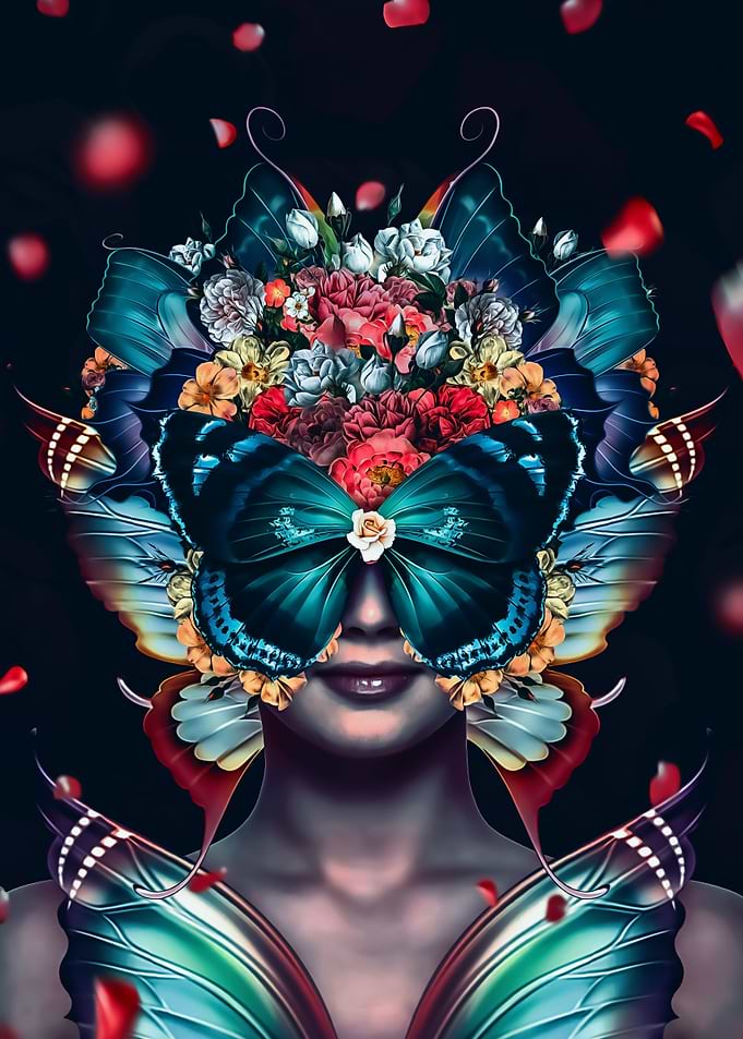 Butterfly