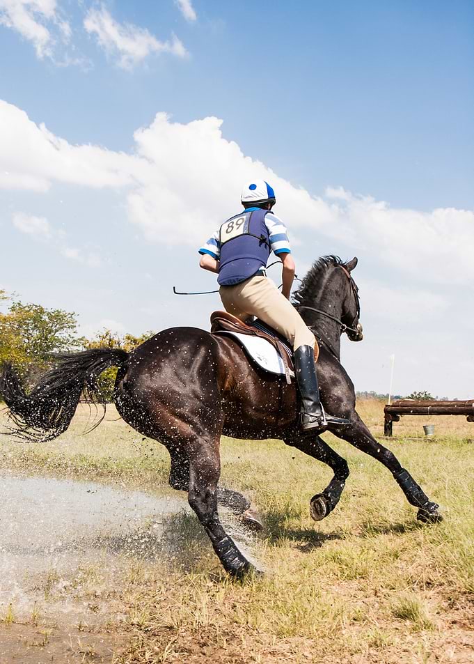 Horse Aestetik