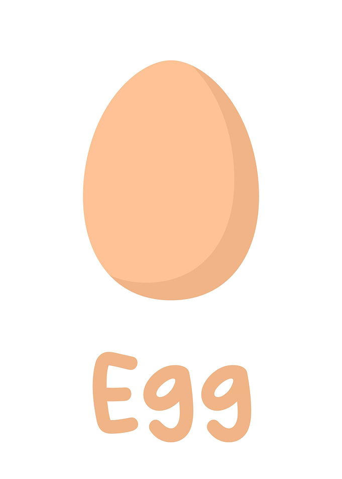 egg