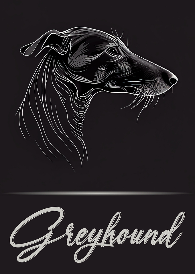 Greyhound Portrait