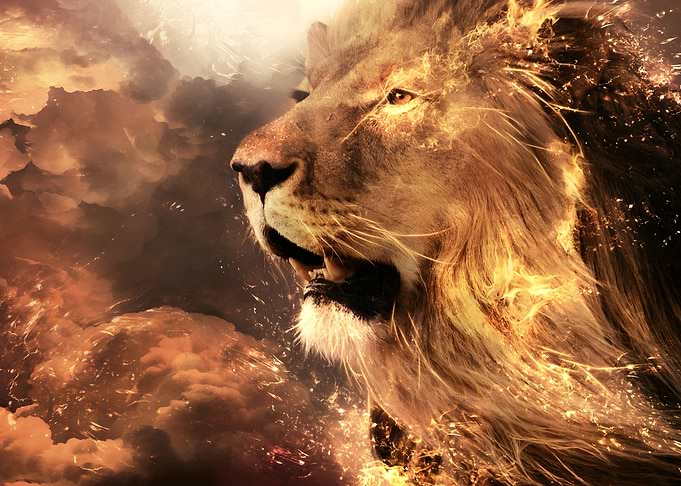 lion king