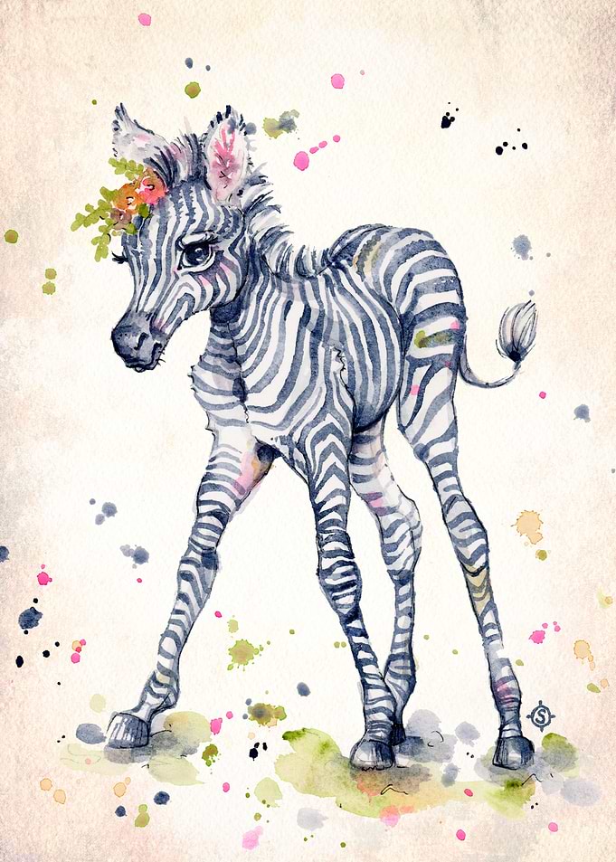 Sweet Zebra