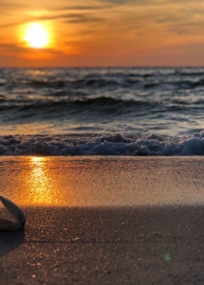 Sunset sea