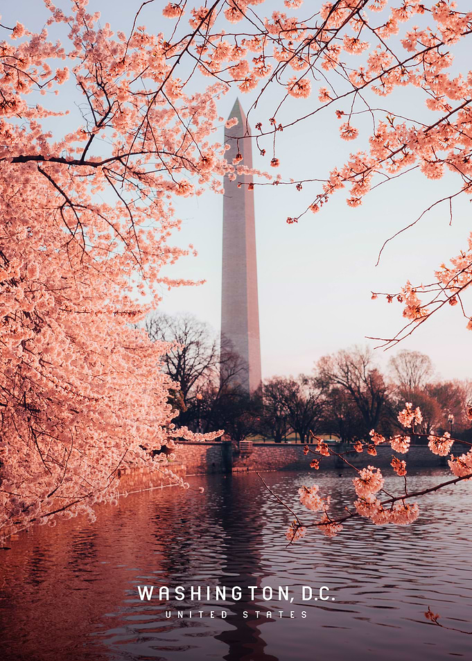 Washington DC