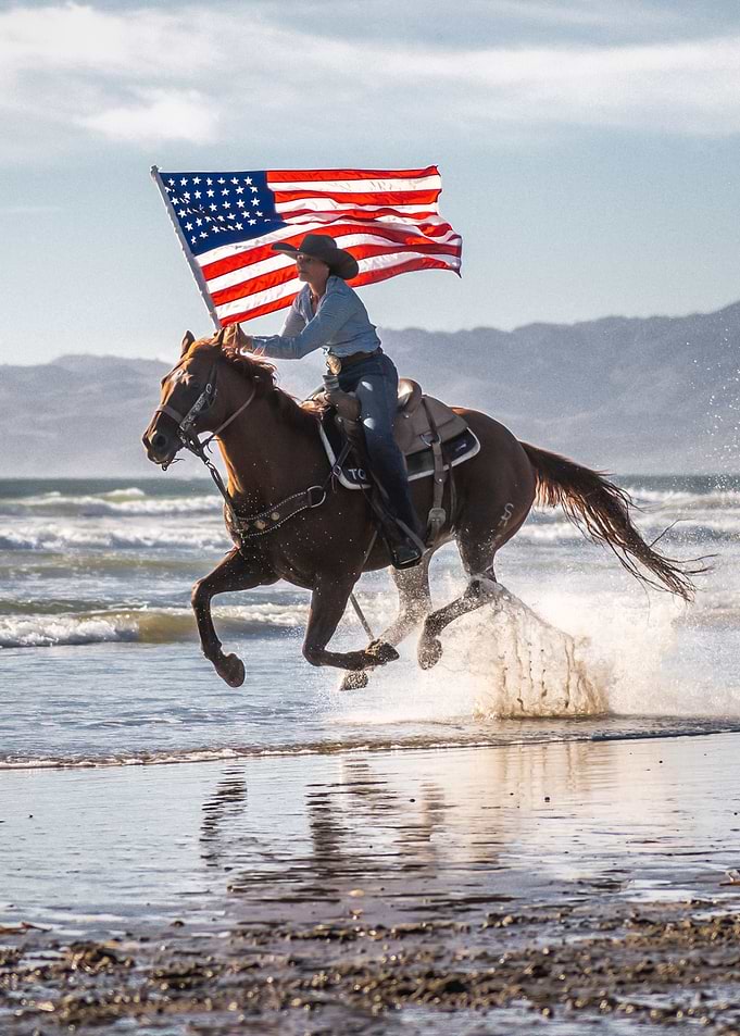 Horse Aestetik