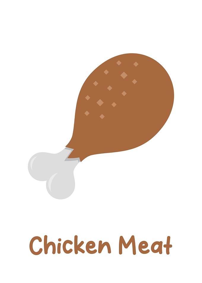 chicken Meat
