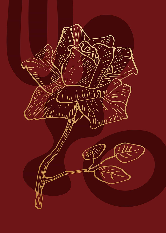 Rosa