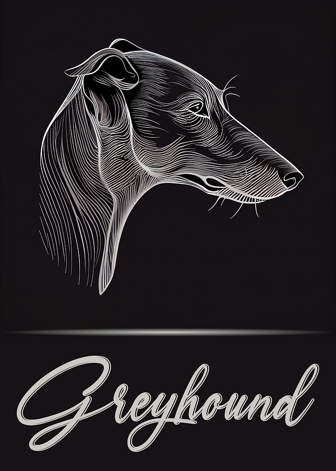 Elegant Greyhound