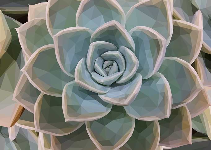 Teal Succulent Garden