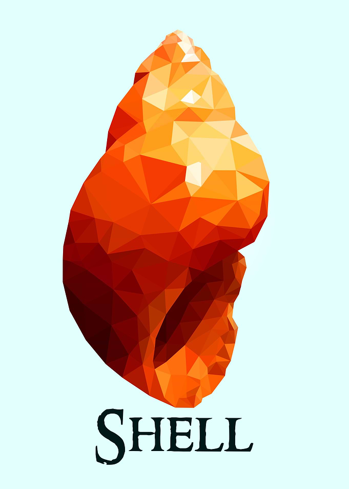 Shell