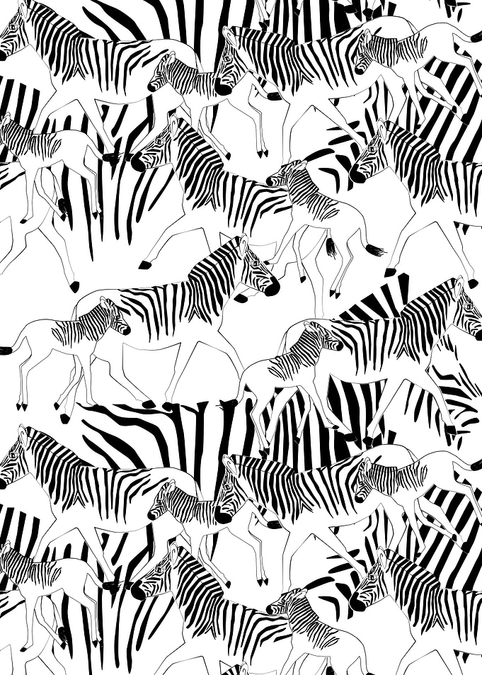 Quagga Family Black White
