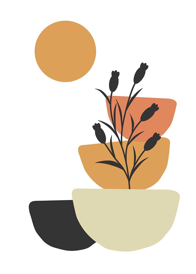 Pots and a Plant