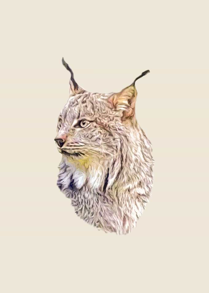 Lynx