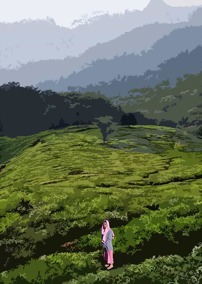 Mountain Valley2
