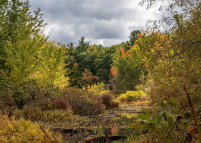 The colors of fall