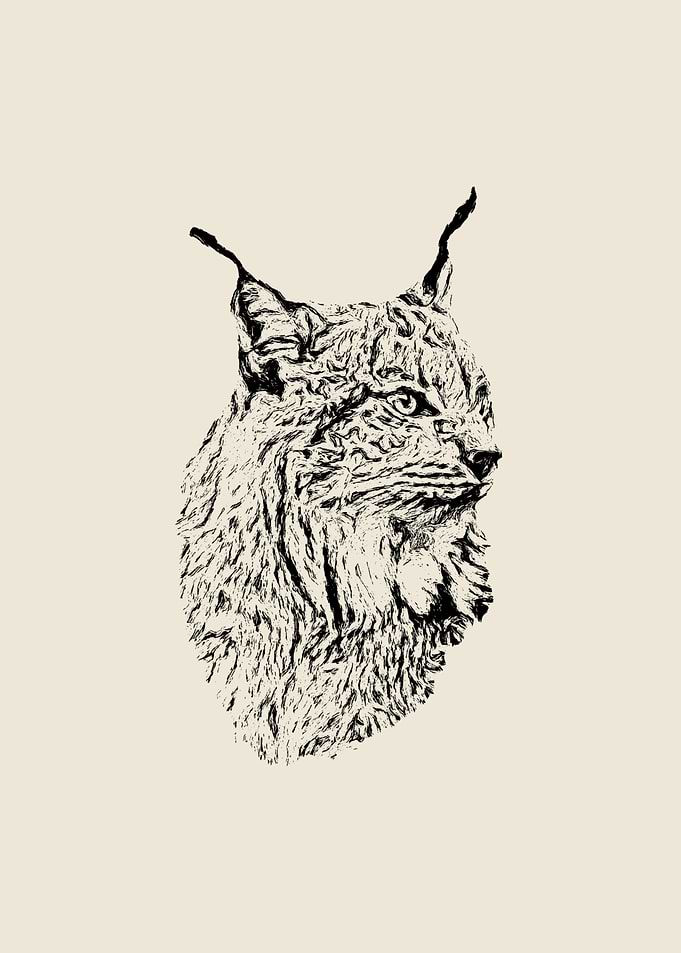 Lynx portrait