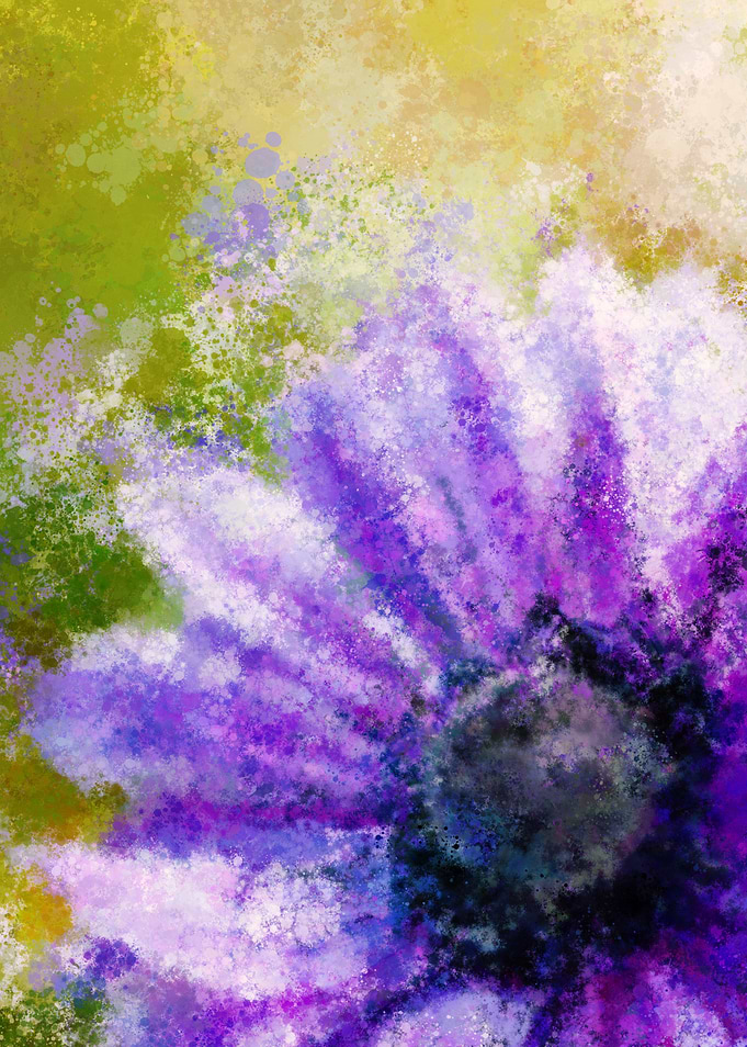 Wind Poppy