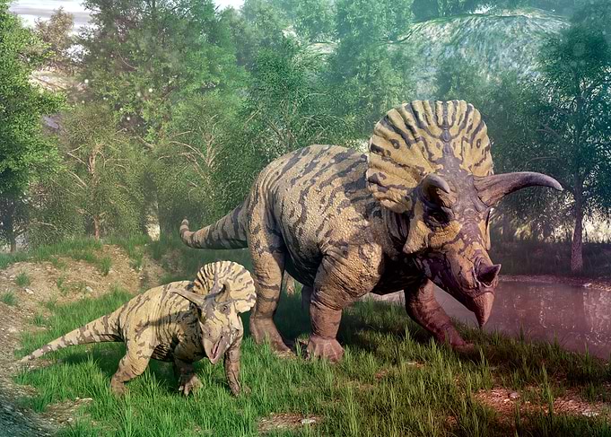 Triceratops dinosaur