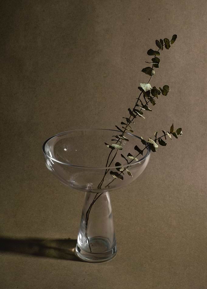 Sprigs in a vase