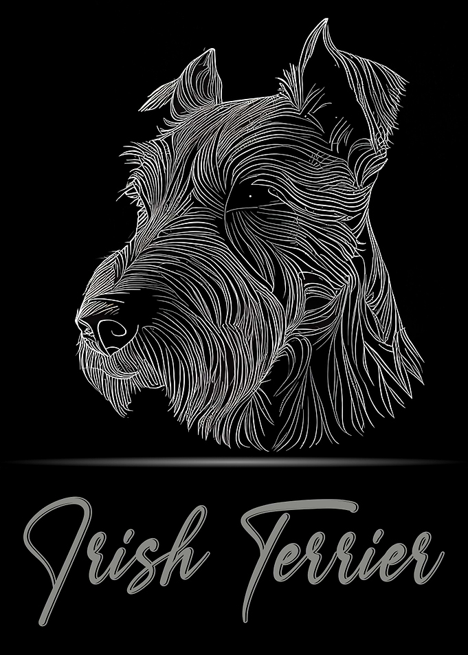 Irish Terrier Portrait